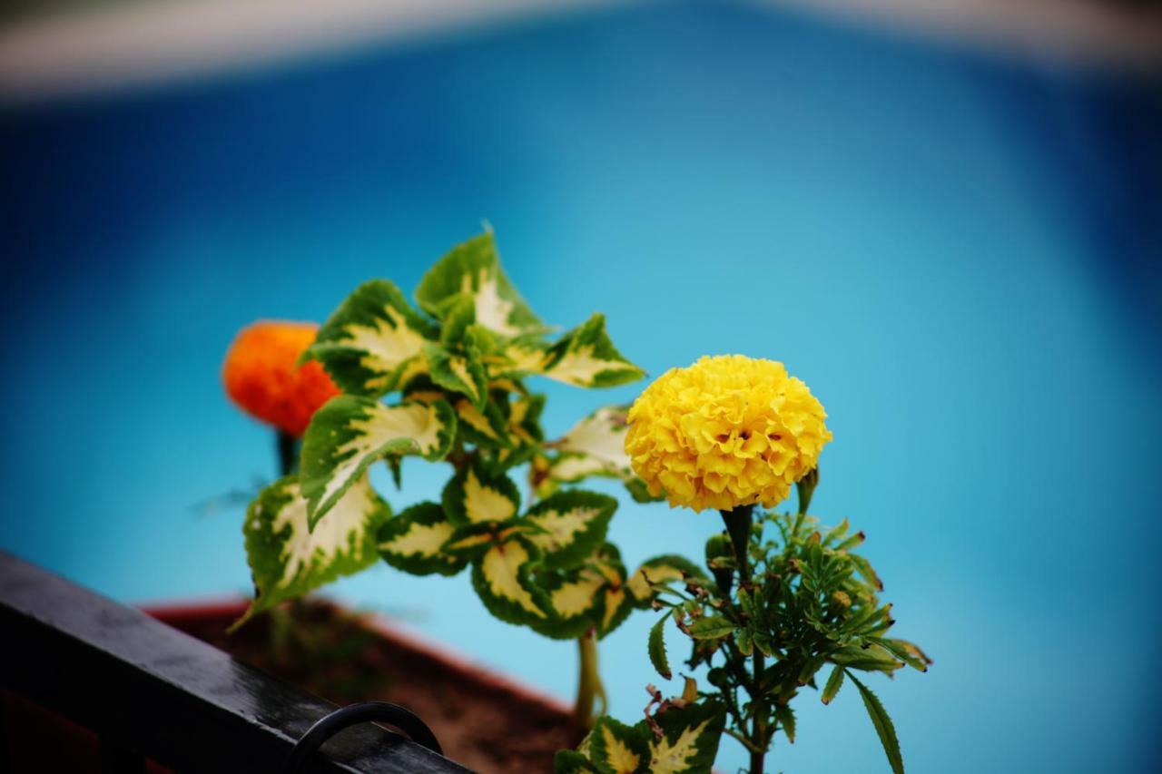 Can Otel Bodrum Zewnętrze zdjęcie